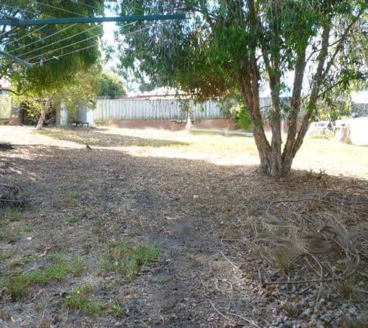 31 Bavin Street, Denmark WA 6333, Denmark - Thumbnail 8