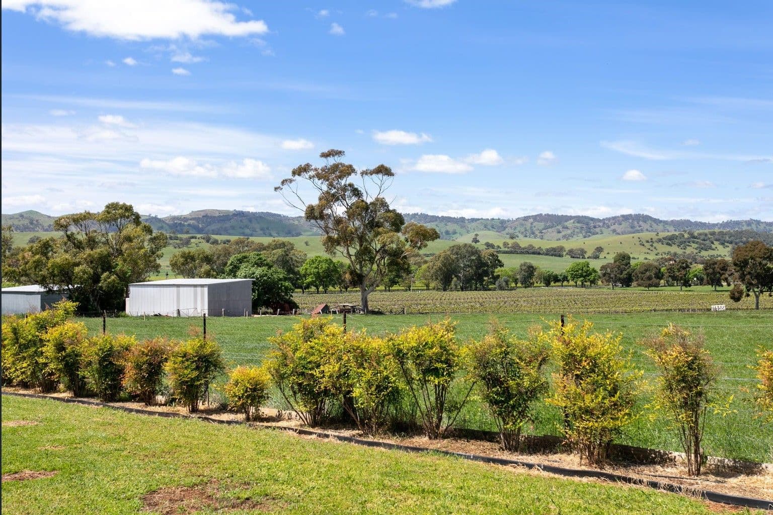 22B Gordon Street, Lyndoch SA 5351, Lyndoch - Thumbnail 3