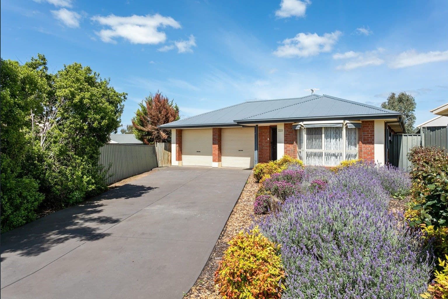 22B Gordon Street, Lyndoch SA 5351, Lyndoch - Thumbnail 4