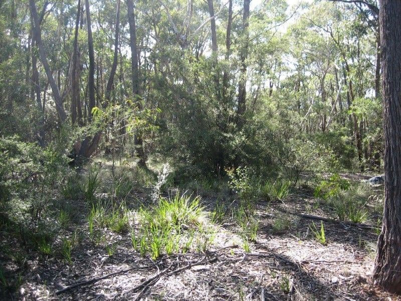 131 Mt York Road, MOUNT VICTORIA NSW 2786, Mount Victoria - Image 1