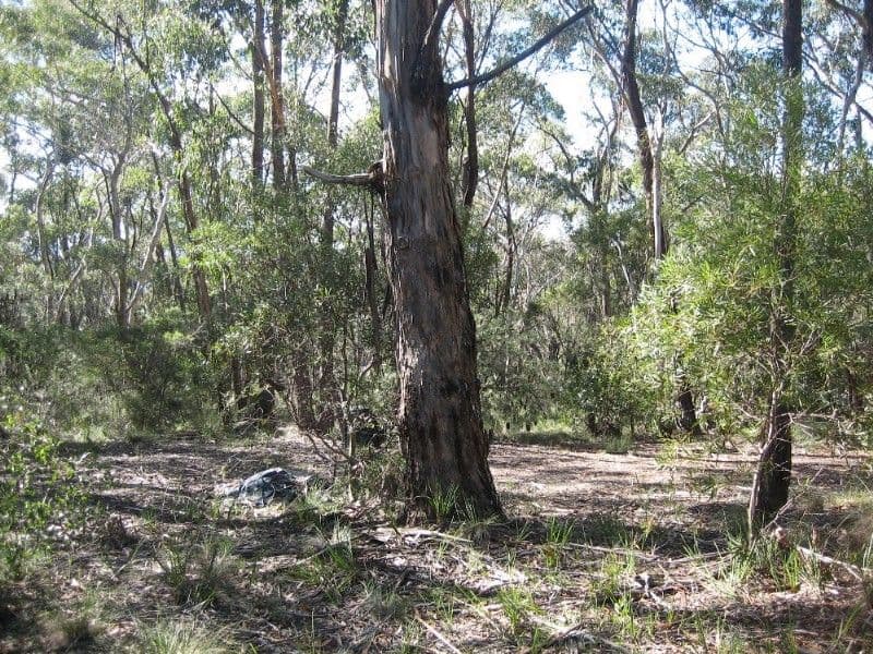131 Mt York Road, MOUNT VICTORIA NSW 2786, Mount Victoria - Thumbnail 3