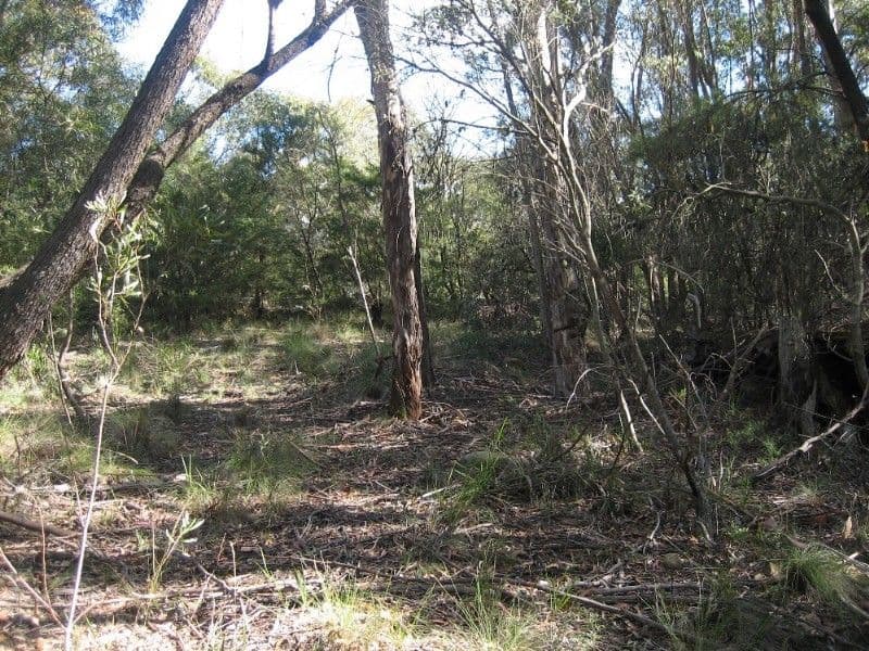 131 Mt York Road, MOUNT VICTORIA NSW 2786, Mount Victoria - Thumbnail 5