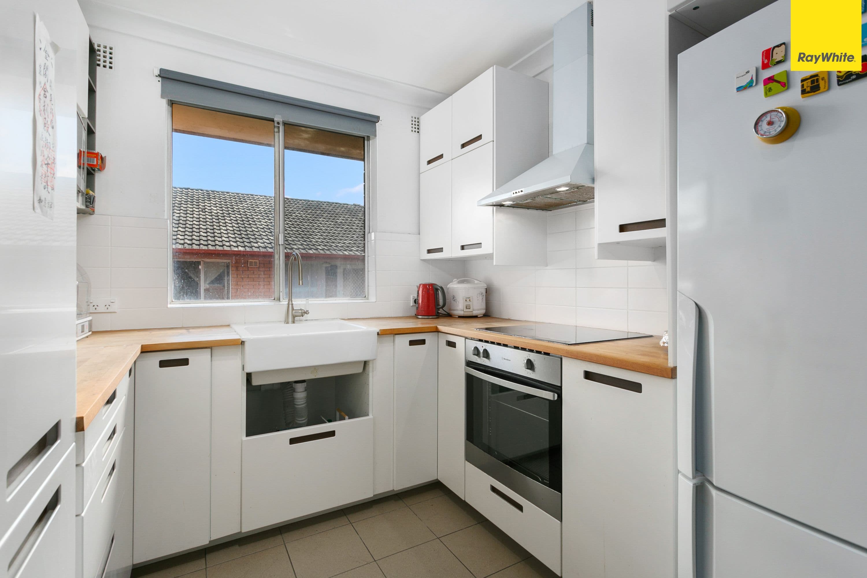 113 Evaline Street, Campsie NSW 2194, Campsie - Thumbnail 2