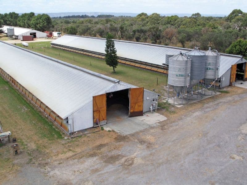 73 Exford Drive, Mornington, VIC, 3931, Mornington - Image 1