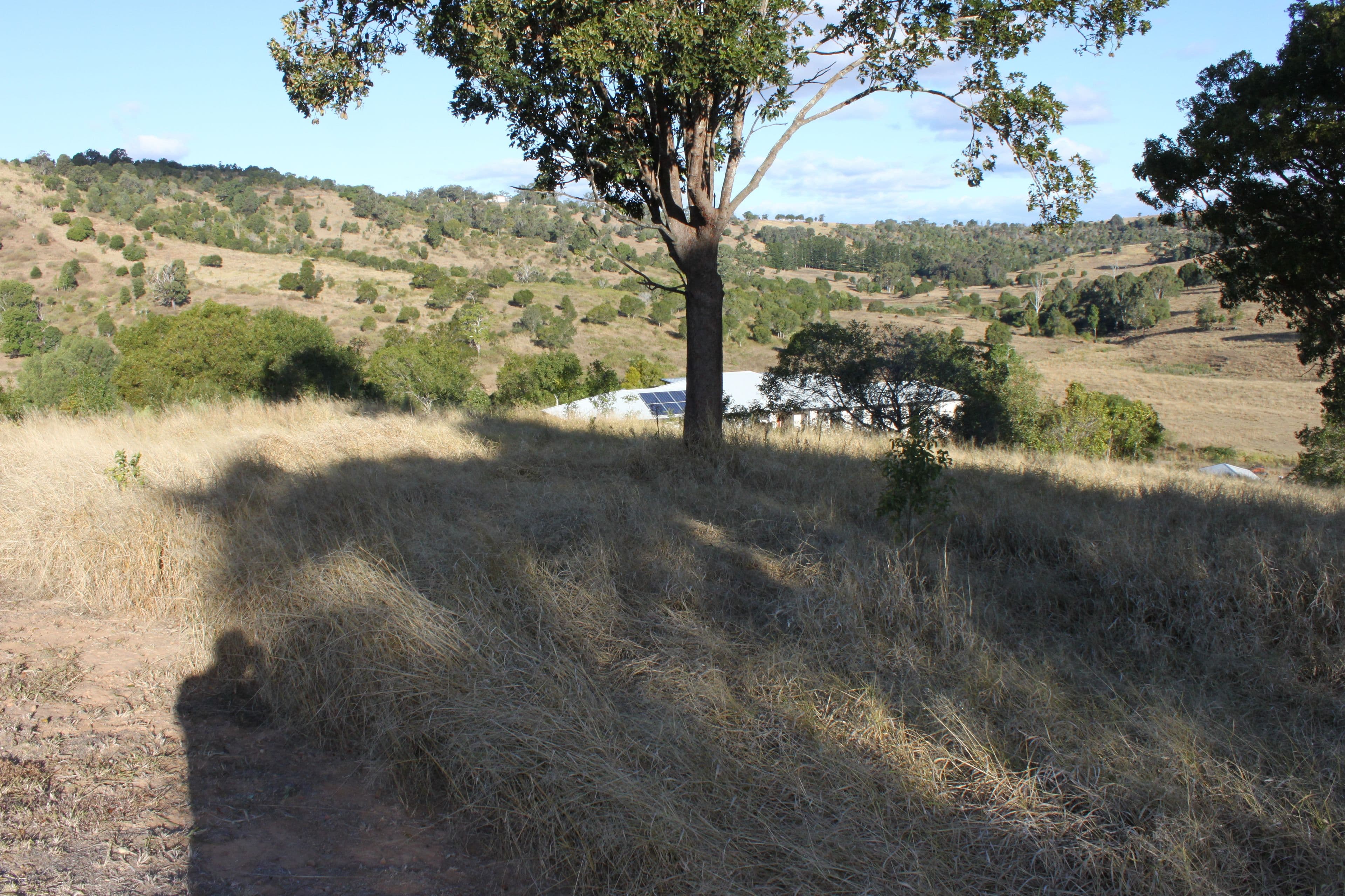 Lot 111 Harpeng Drive, Minden QLD 4311, Minden - Image 1