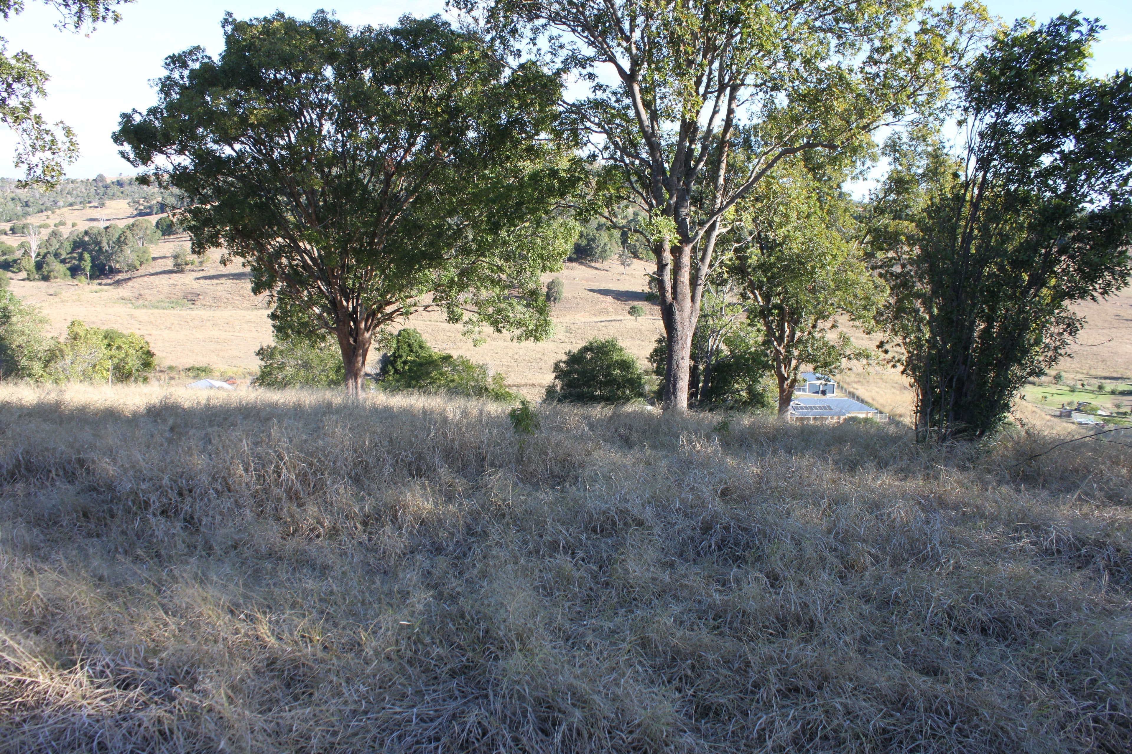 Lot 111 Harpeng Drive, Minden QLD 4311, Minden - Thumbnail 2