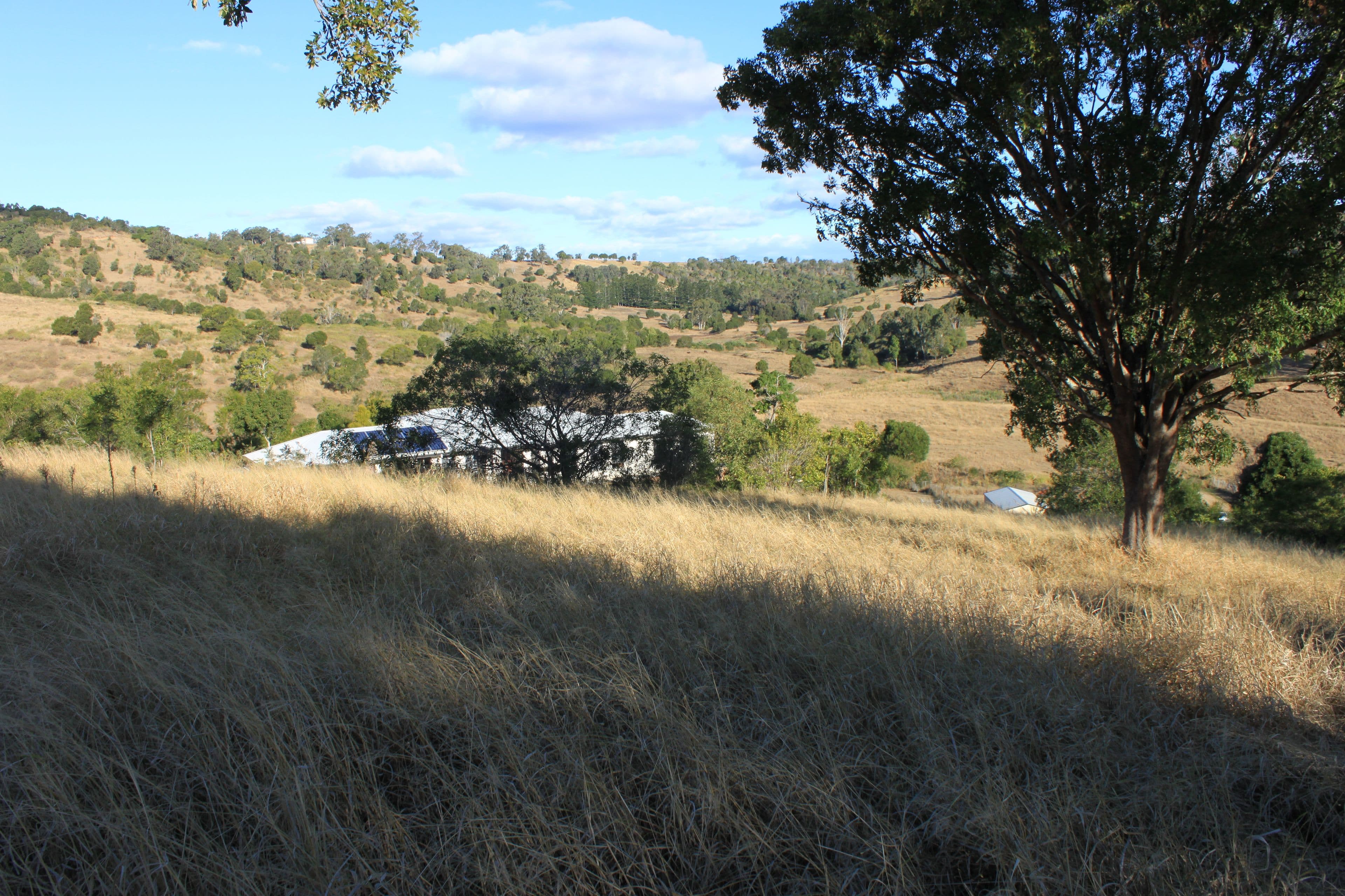 Lot 111 Harpeng Drive, Minden QLD 4311, Minden - Thumbnail 4