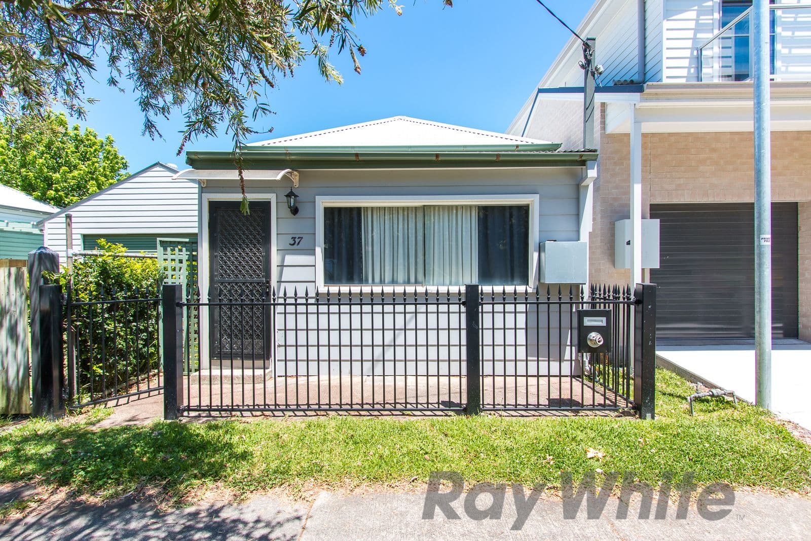 37 Gipps Street, Carrington - Thumbnail 4