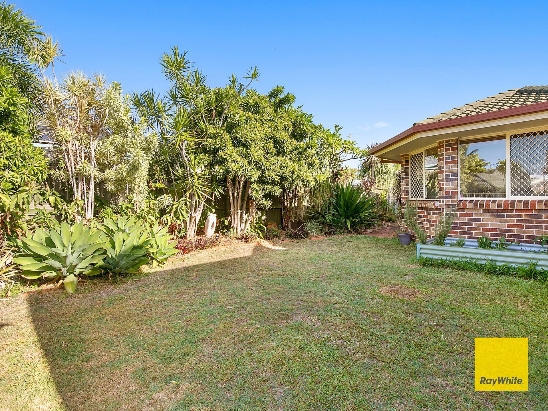 12 Cassie Court, Victoria Point QLD 4165, Victoria Point - Thumbnail 8