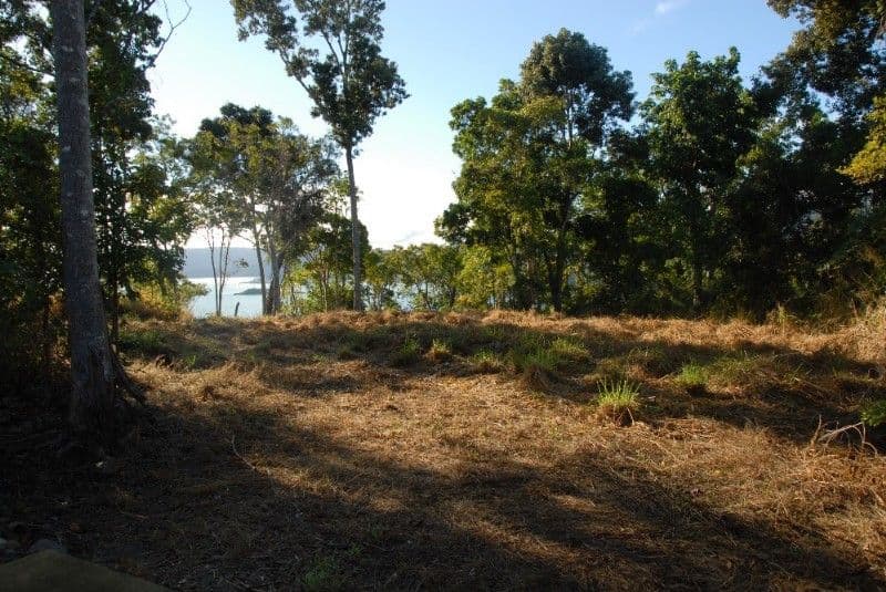 Lot 26 Botanica Drive, CANNONVALE QLD 4802, Cannonvale - Thumbnail 8