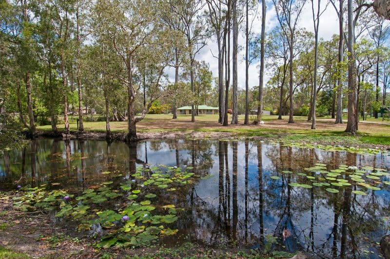 195-197 Wilson Road, BUCCAN QLD 4207, Buccan - Thumbnail 5