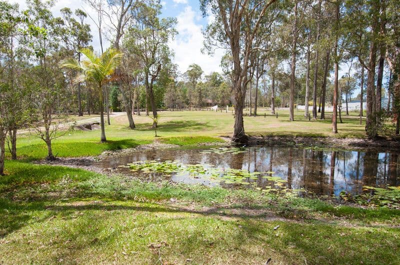 195-197 Wilson Road, BUCCAN QLD 4207, Buccan - Thumbnail 6