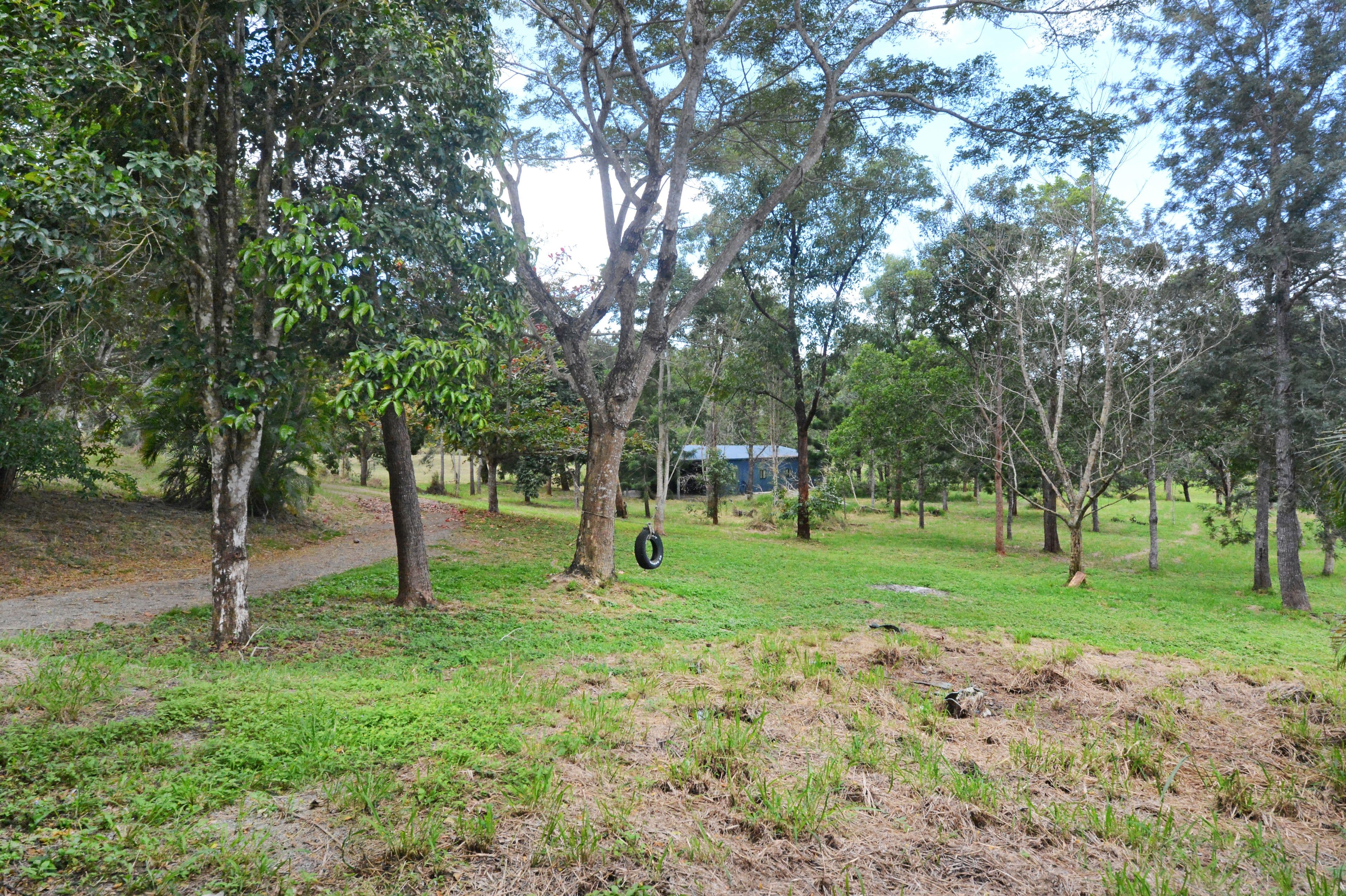 57 Moodys Road, Strathdickie QLD 4800, Strathdickie - Thumbnail 7