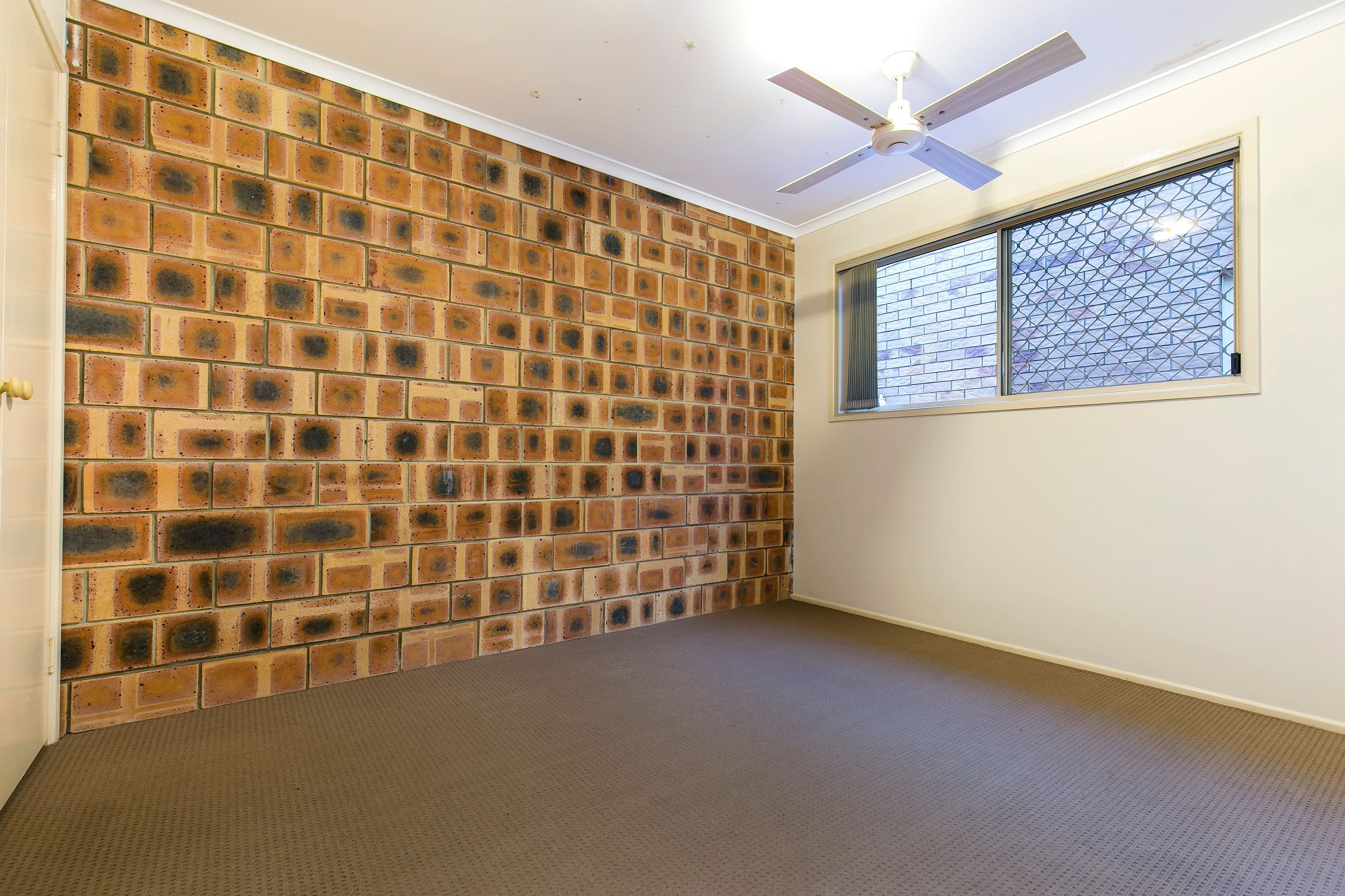 12 Doolooma Street, Mountain Creek QLD 4557, Mountain Creek - Thumbnail 7