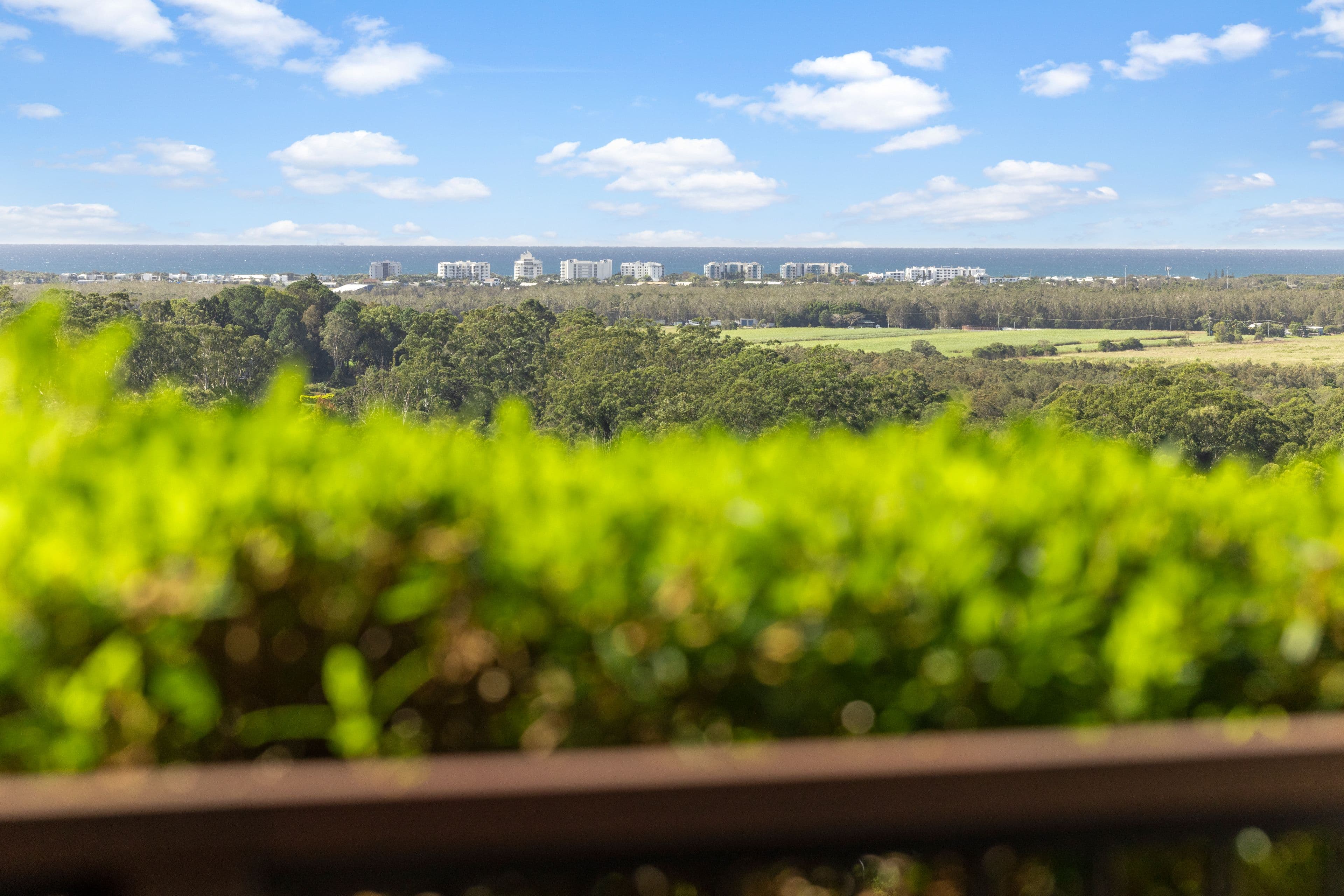 27 Willis Road, Bli Bli QLD 4560, Bli Bli - Thumbnail 2