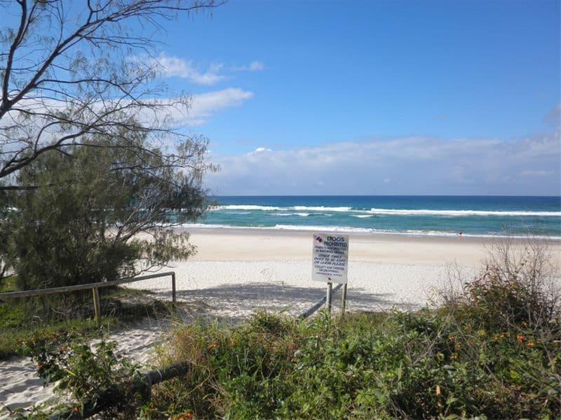 216 The Esplanade, BURLEIGH HEADS QLD 4220, Burleigh Heads - Thumbnail 6