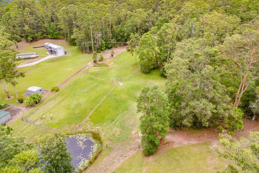 1127 Tallebudgera Creek Road, Tallebudgera Valley QLD 4228, Tallebudgera Valley - Thumbnail 3