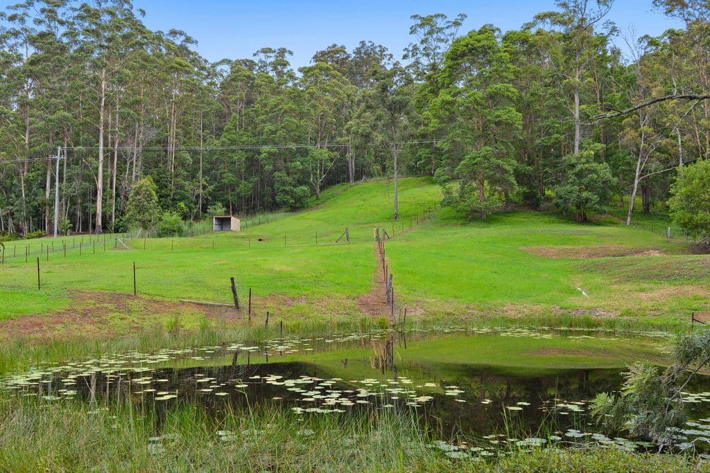 1127 Tallebudgera Creek Road, Tallebudgera Valley QLD 4228, Tallebudgera Valley - Thumbnail 5