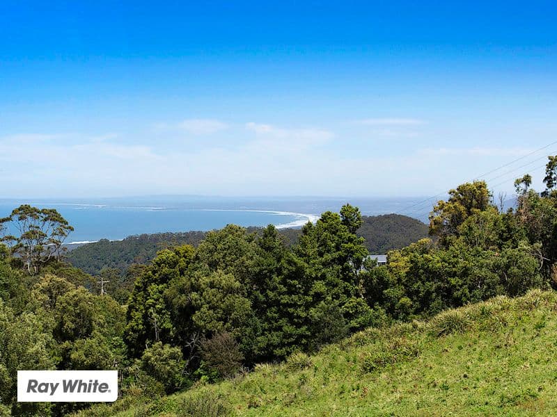 93 Williams Road, Kiama NSW 2533, Kiama - Thumbnail 4