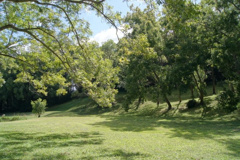 24 Summit Street, FLAXTON QLD 4560, Flaxton - Thumbnail 2
