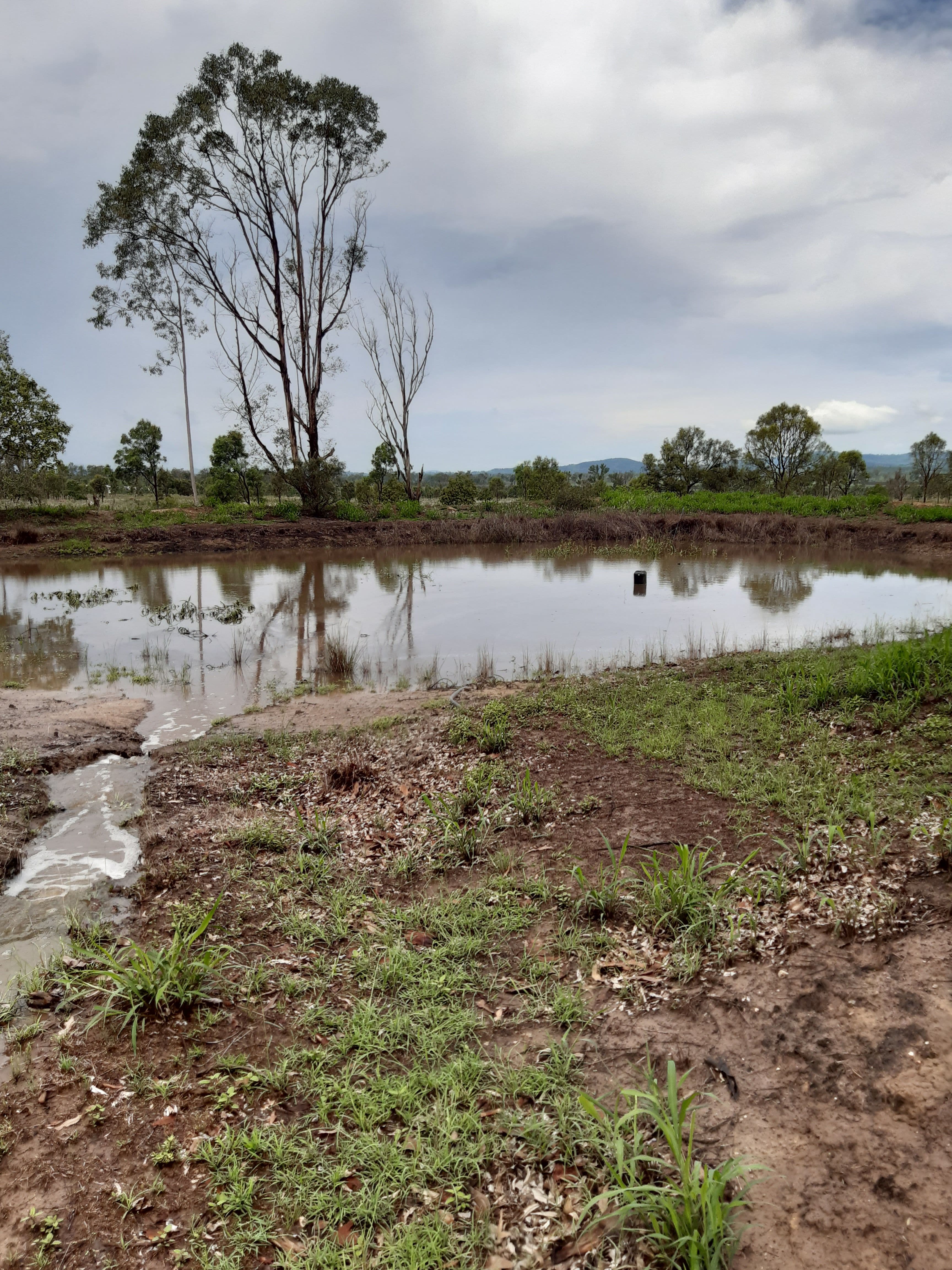 31 Gutteridge Road, Coominya QLD 4311, Coominya - Thumbnail 2