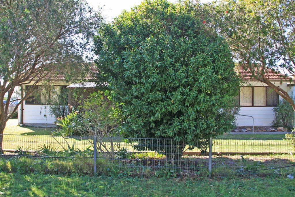 468 Ocean Drive, Laurieton NSW 2443, Laurieton - Thumbnail 4