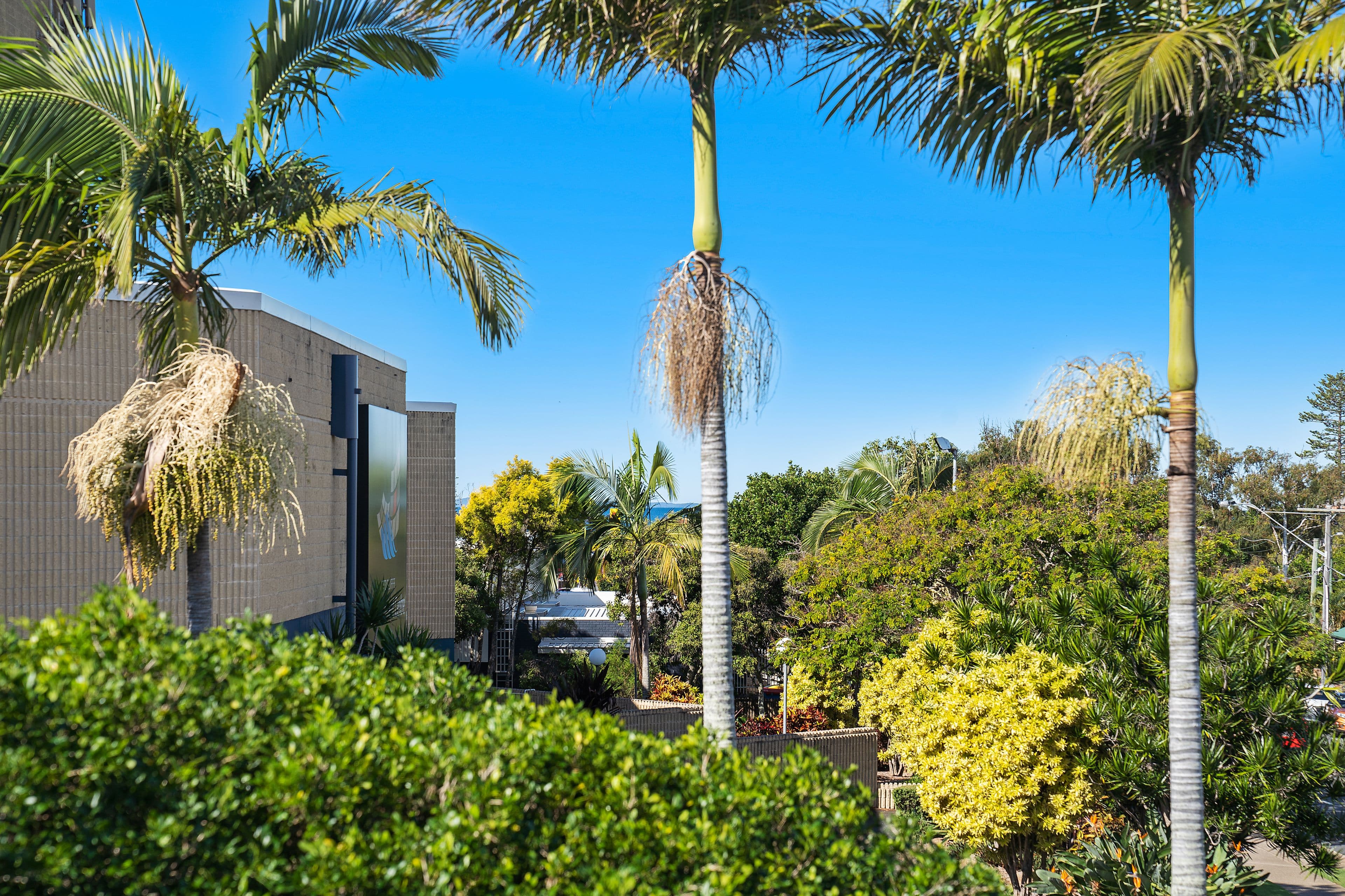 14 Downs Street, Redcliffe QLD 4020, Redcliffe - Thumbnail 5