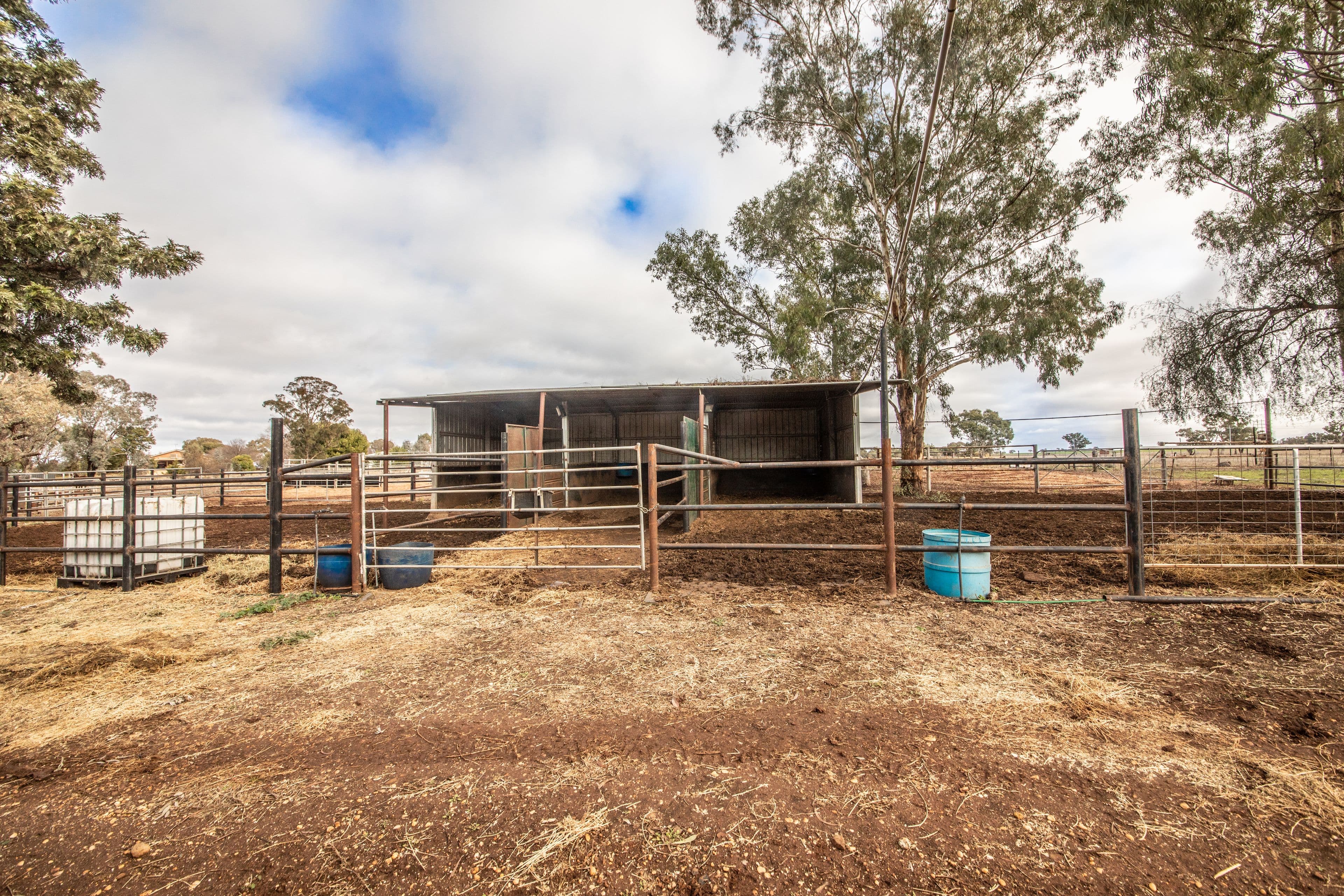 117R Old Dubbo Road, Dubbo NSW 2830, Dubbo - Thumbnail 6