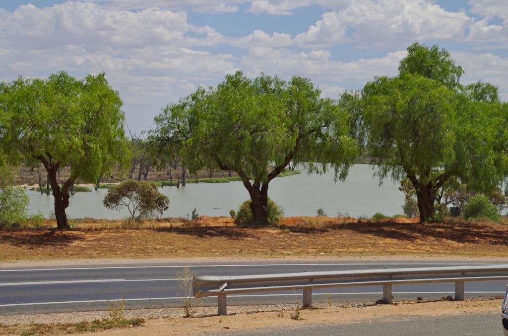 83 Hughes Avenue, Paringa SA 5340, Paringa - Thumbnail 2