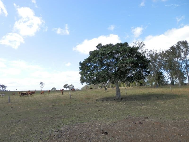 570 Clause Road, Haigslea QLD 4306, Haigslea - Image 1