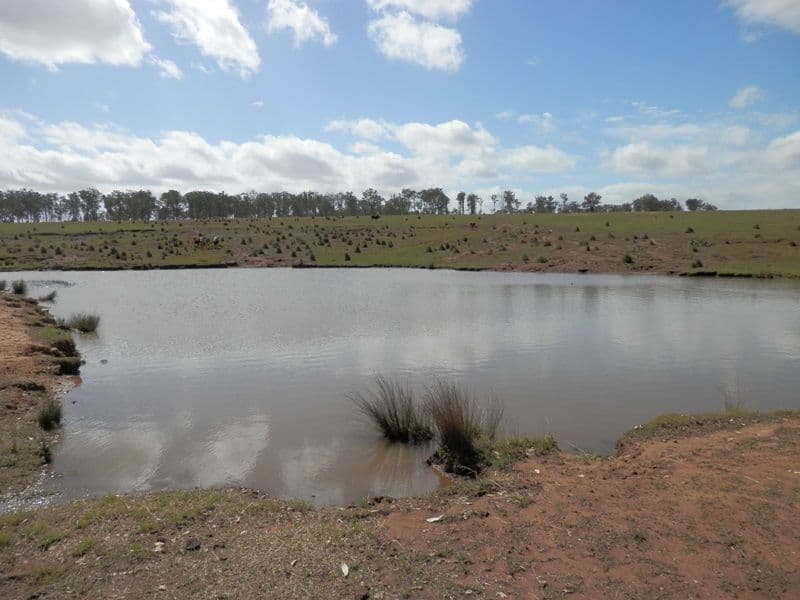 570 Clause Road, Haigslea QLD 4306, Haigslea - Thumbnail 2