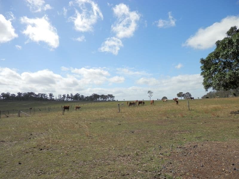 570 Clause Road, Haigslea QLD 4306, Haigslea - Thumbnail 5