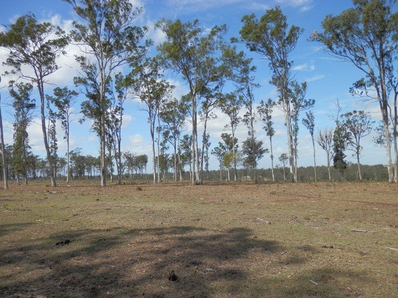 570 Clause Road, Haigslea QLD 4306, Haigslea - Thumbnail 6