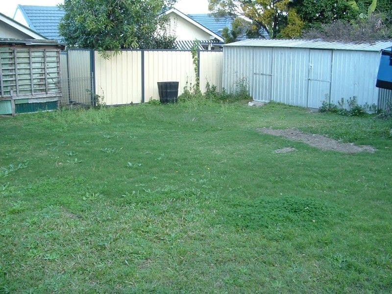 17 Chesney Street, CARINA QLD 4152, Carina - Thumbnail 5