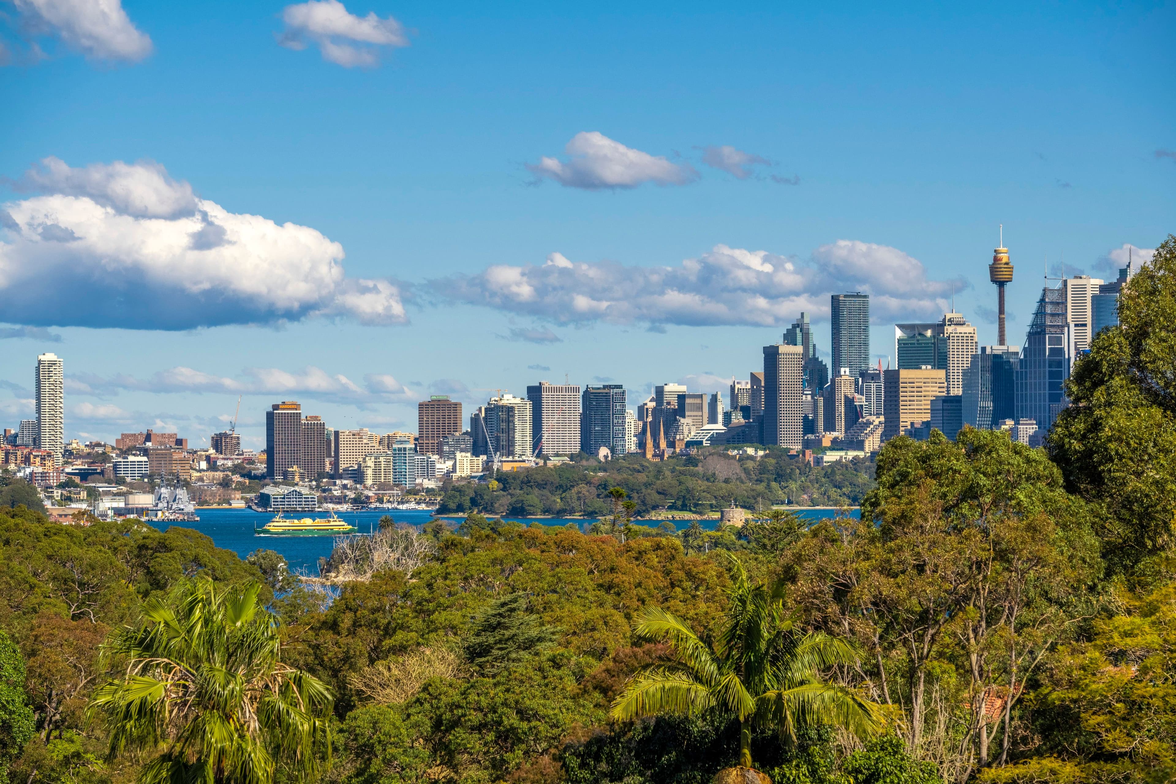 41 Clanalpine Street, Mosman NSW 2088, Mosman - Thumbnail 2