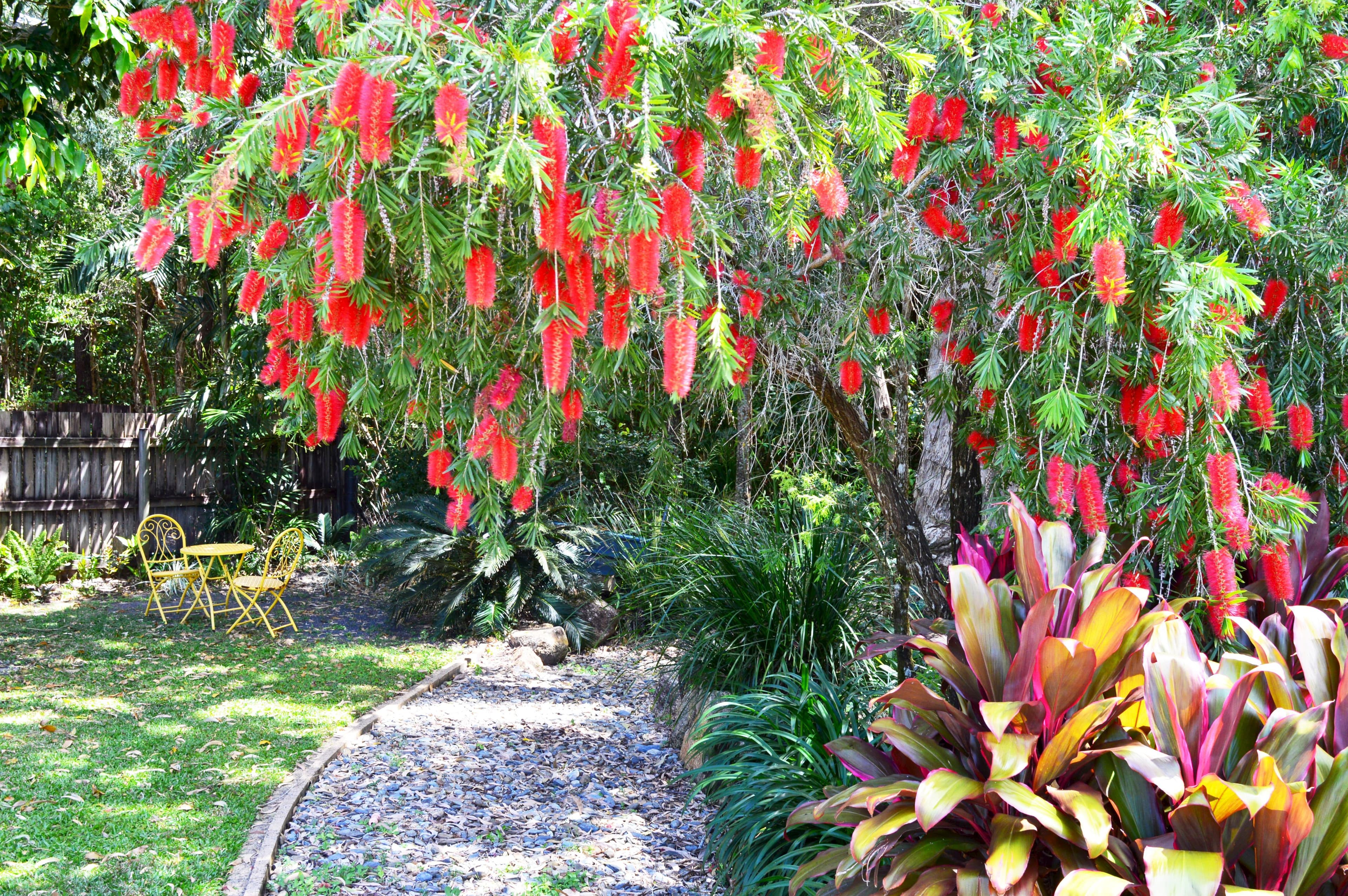 52 Mariner Drive, SOUTH MISSION QLD 4852, South Mission Beach - Thumbnail 7