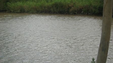 WATERFORD WEST QLD 4133, Waterford West - Thumbnail 5