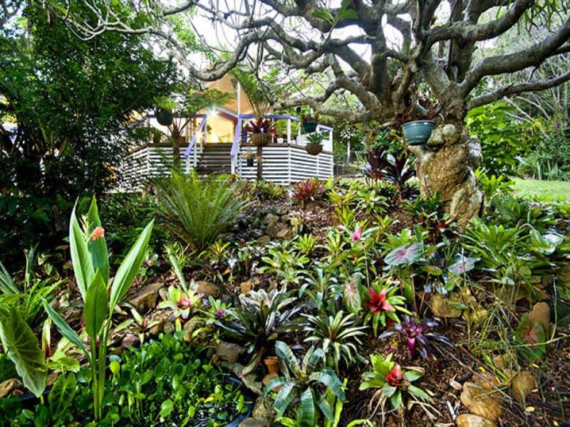 16 Chevallum Road, PALMWOODS QLD 4555, Palmwoods - Thumbnail 5