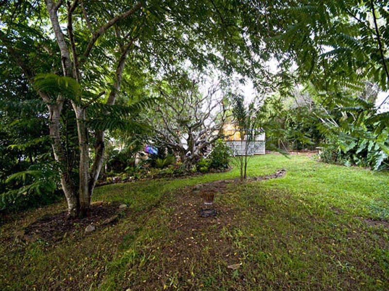 16 Chevallum Road, PALMWOODS QLD 4555, Palmwoods - Thumbnail 6