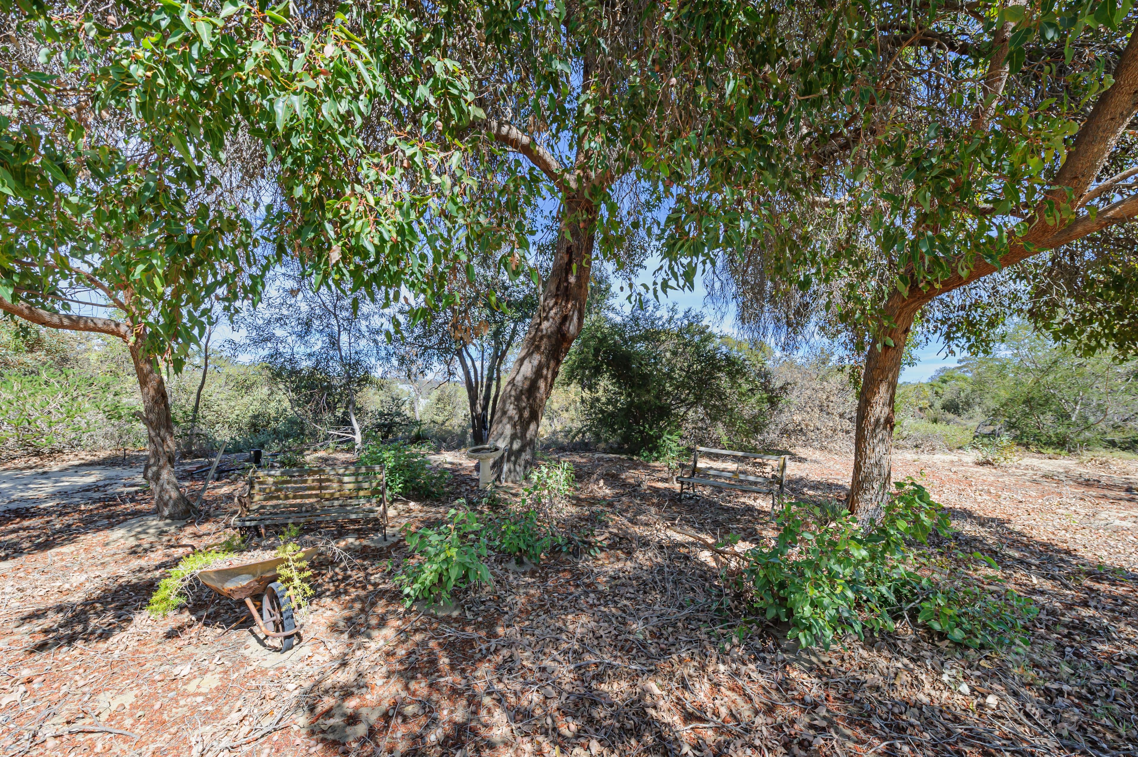 16 BLUE GUM Way, Chittering WA 6084, Chittering - Thumbnail 4