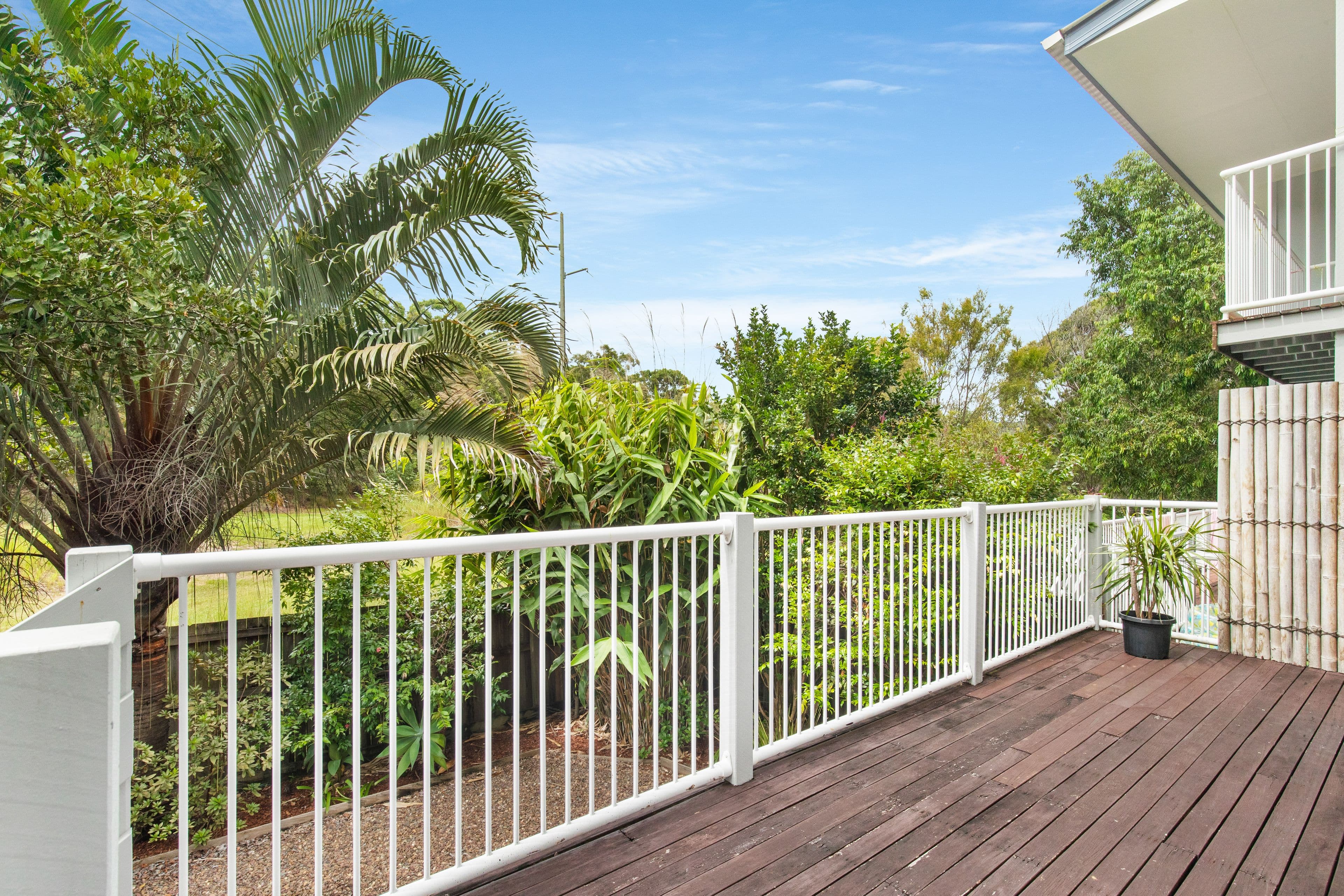 24 Birch Street, Caloundra West QLD 4551, Caloundra West - Thumbnail 3