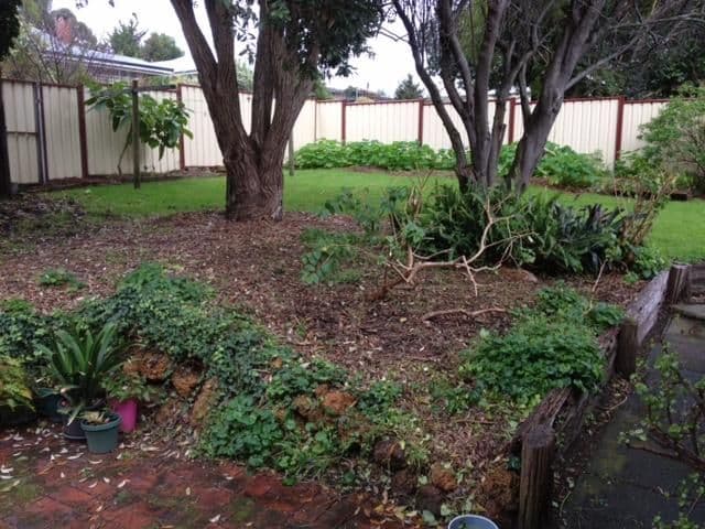 90 Strickland Street, Denmark WA 6333, Denmark - Thumbnail 3