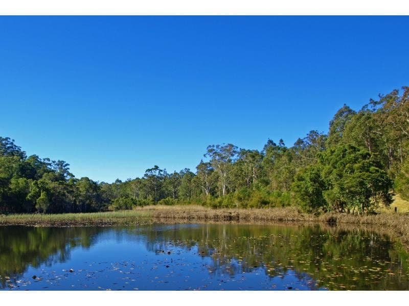 890 Dicksons Road, Dooralong NSW 2259, Dooralong - Thumbnail 4