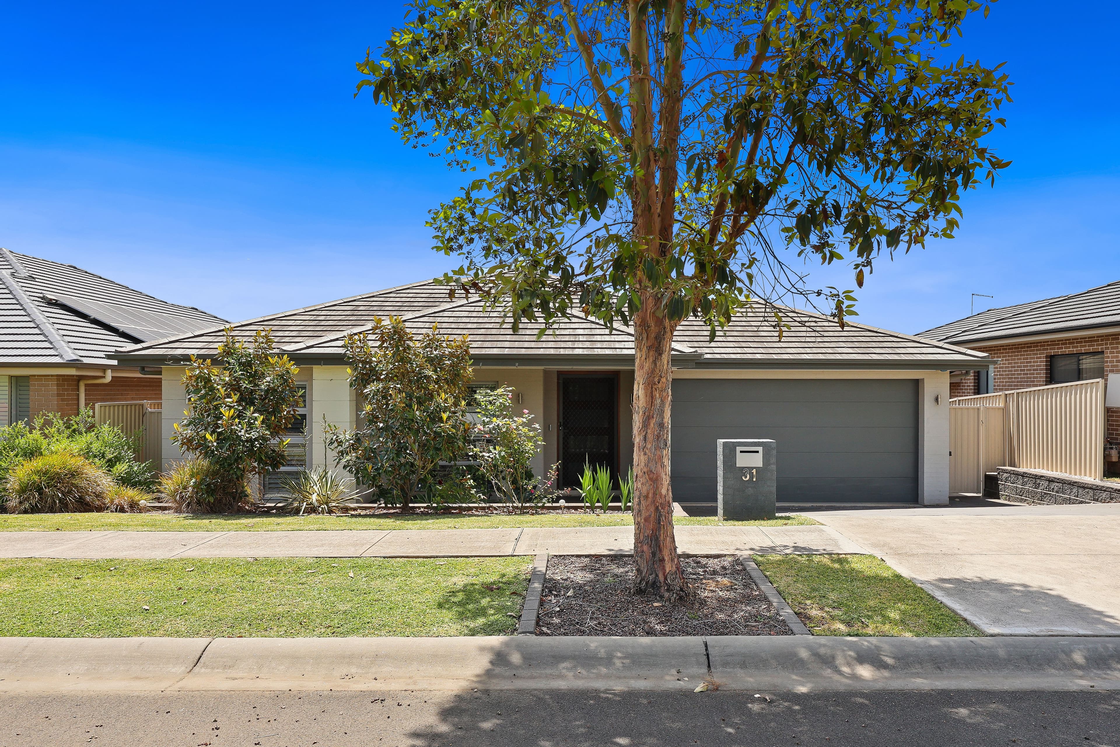 31 Commelina Drive, Mount Annan NSW 2567, Mount Annan - Image 1