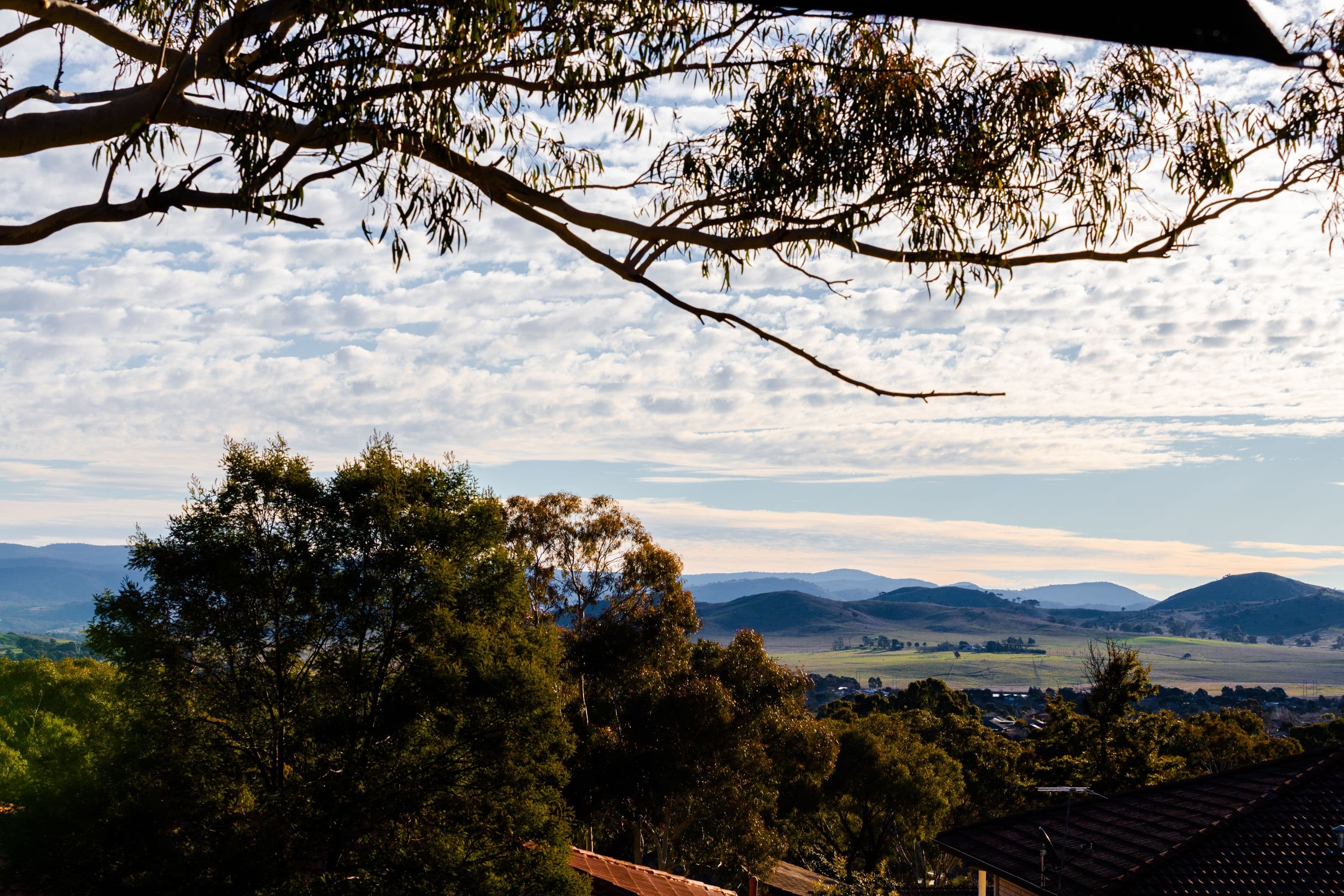 8 Neeld Place, Charnwood ACT 2615, Charnwood - Thumbnail 2