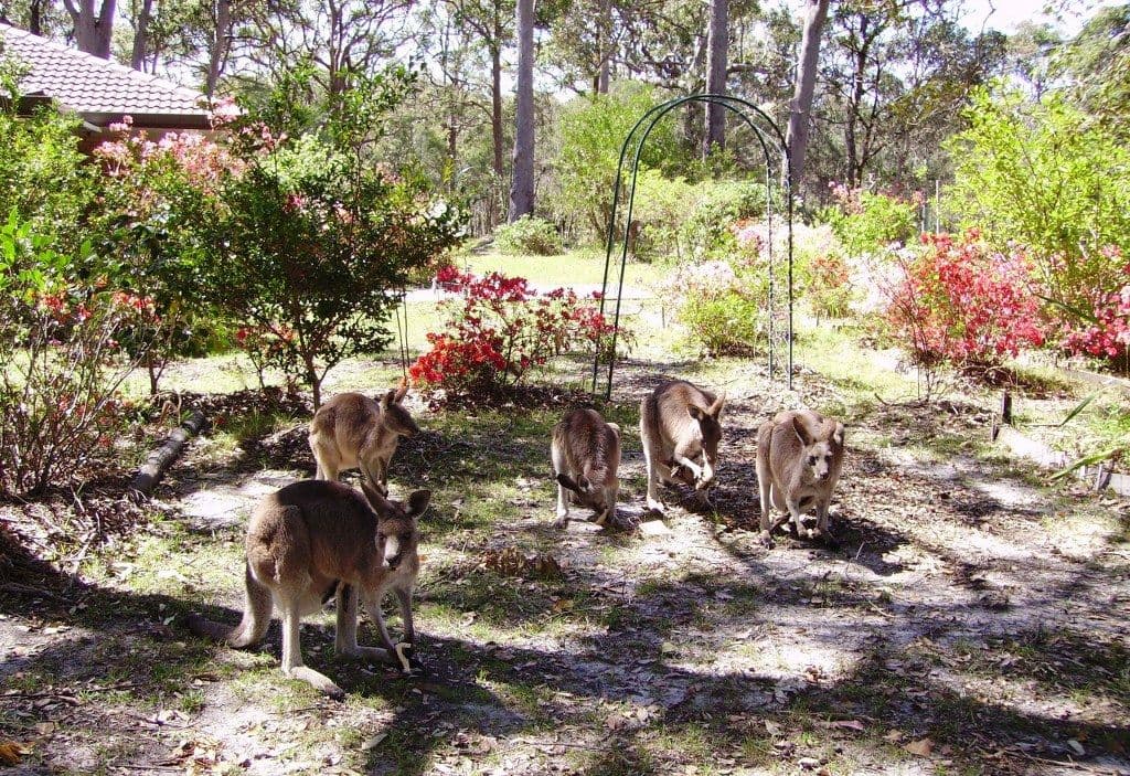 332 Hungry Head Road, URUNGA NSW 2455, Urunga - Thumbnail 8