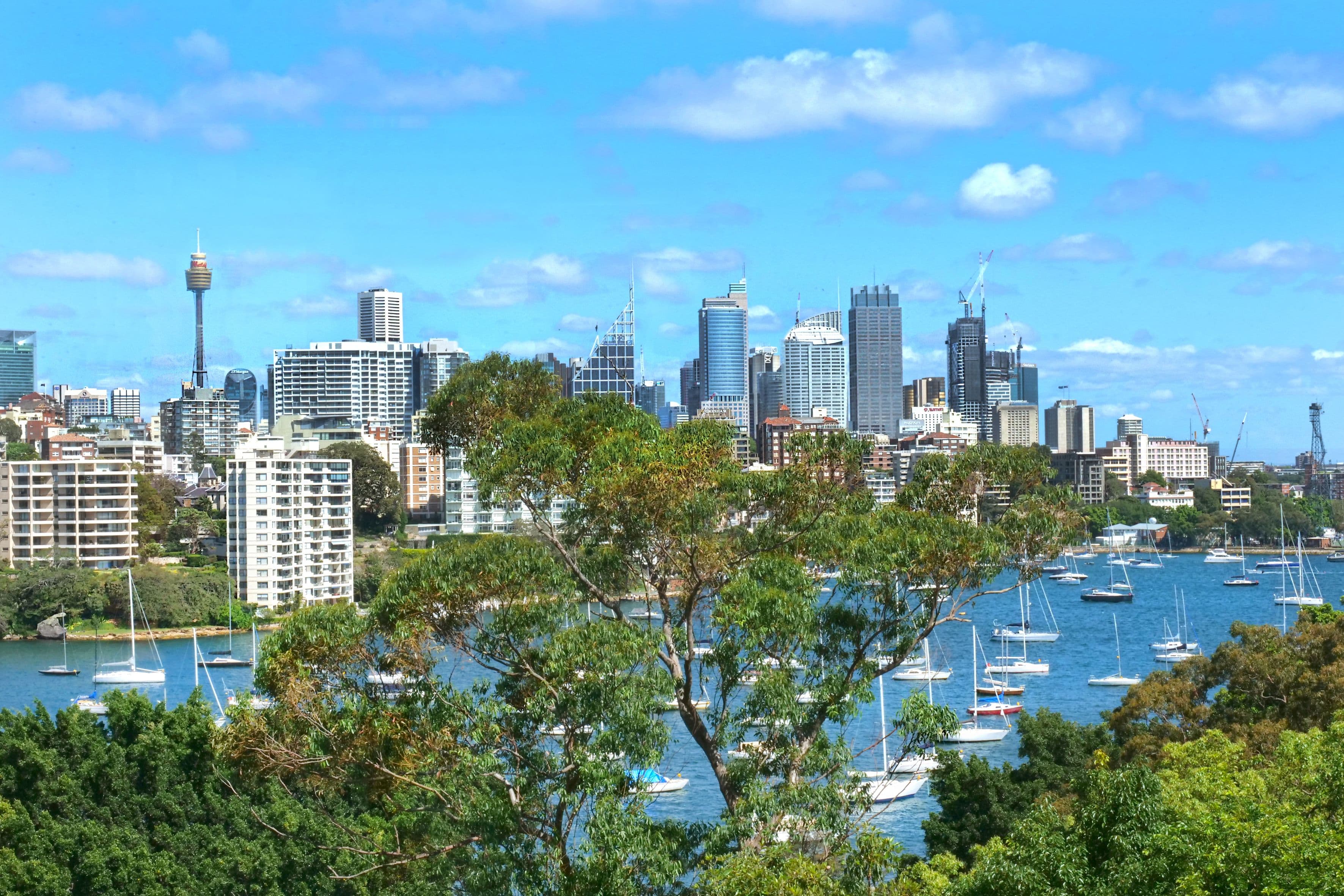 9 Goomerah Crescent, Darling Point NSW 2027, Darling Point - Thumbnail 5