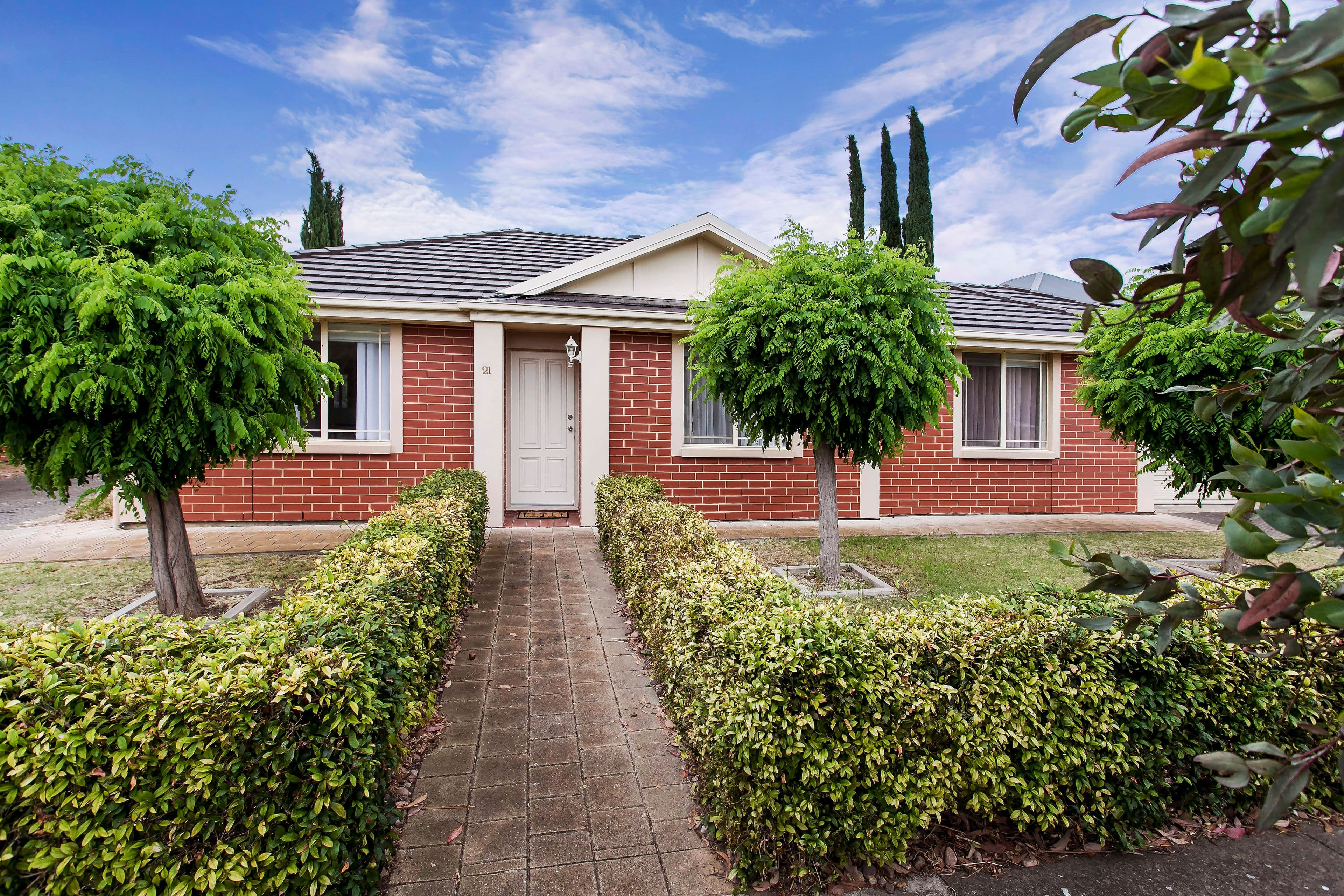 21 Daisy Avenue, Mitchell Park SA 5043, Mitchell Park - Image 1