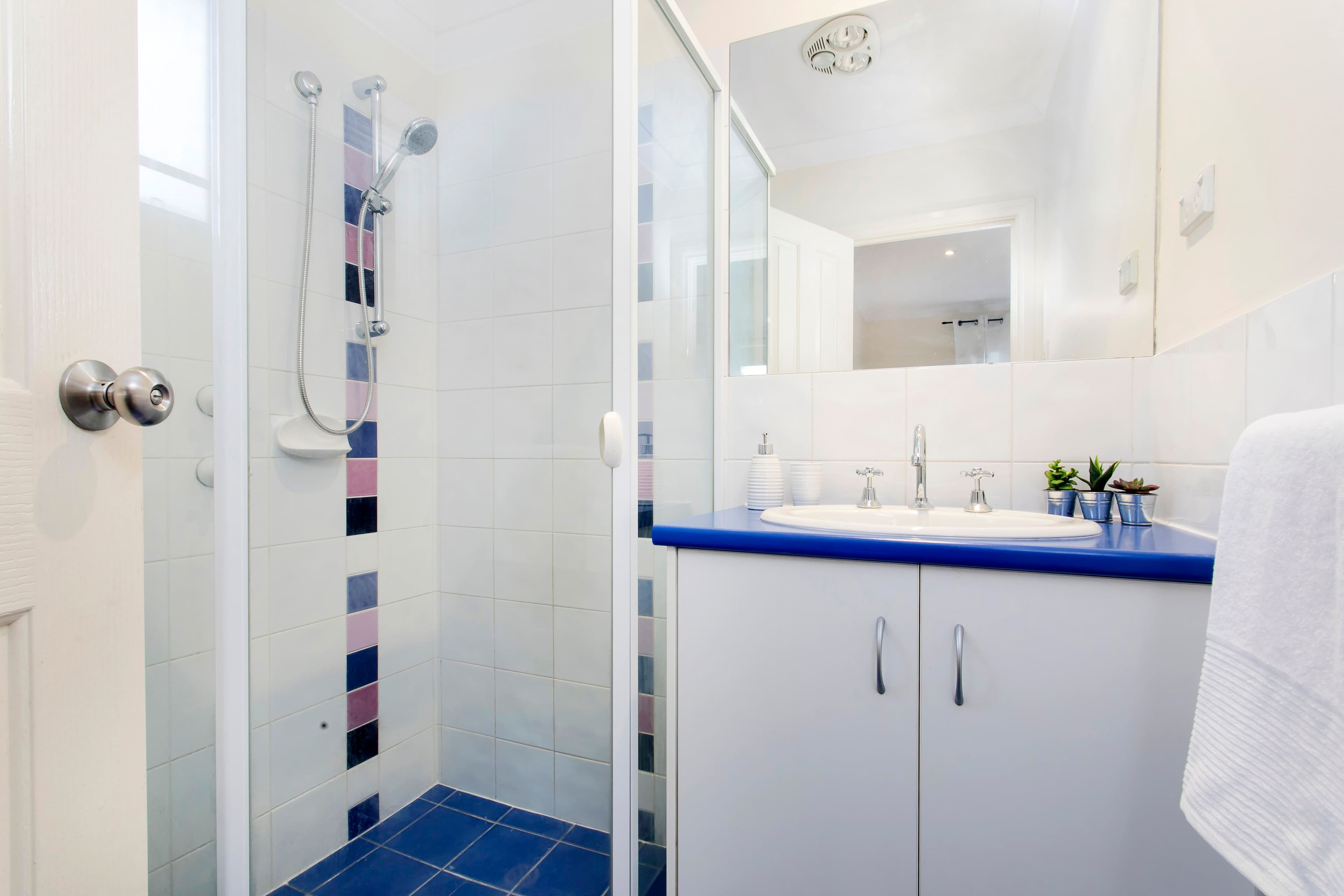 21 Daisy Avenue, Mitchell Park SA 5043, Mitchell Park - Thumbnail 4