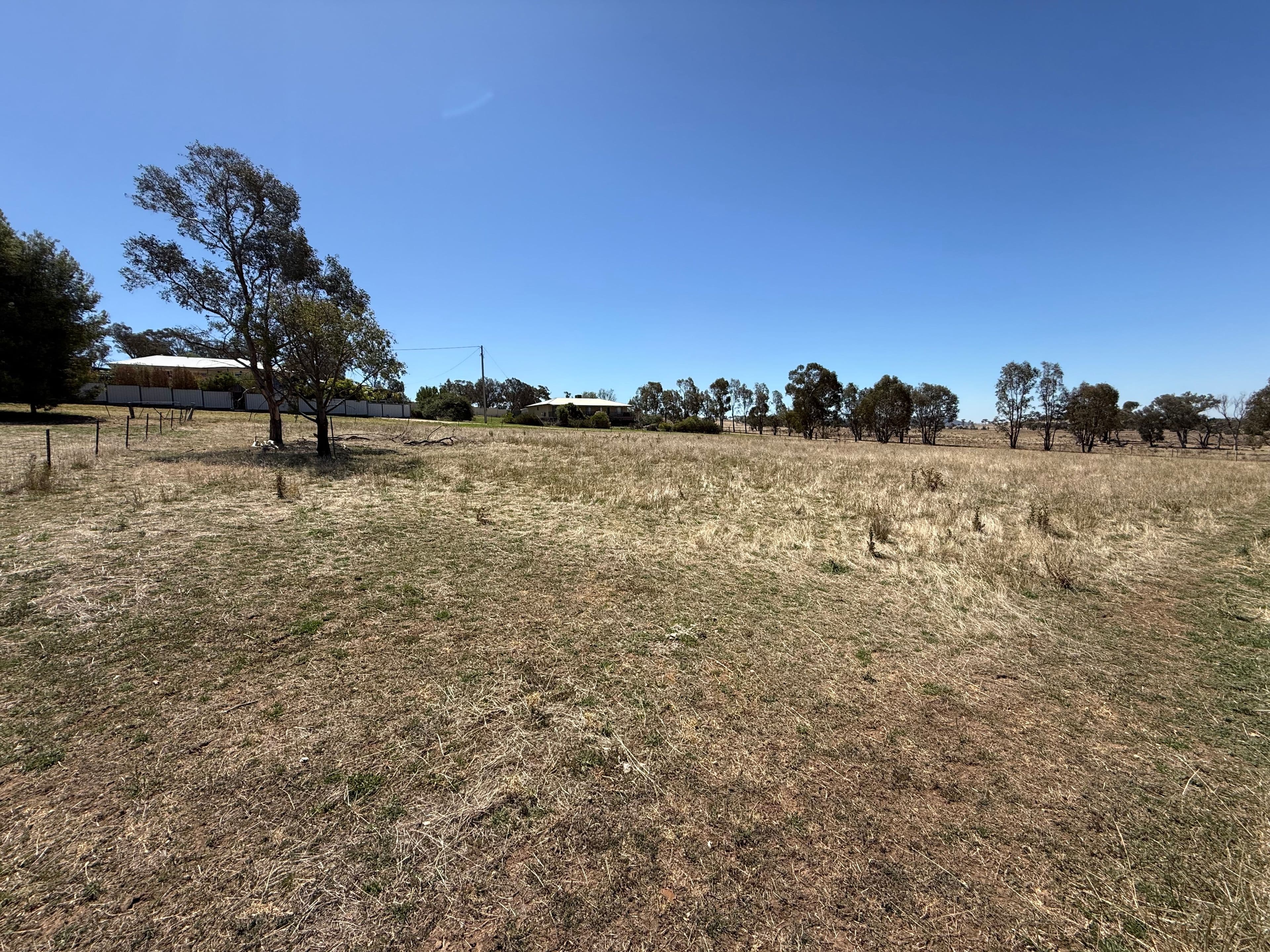 Lots 12, 13, 14 & 15 Mirriam Street, Bendick Murrell Via, Young NSW 2594, Young - Thumbnail 3